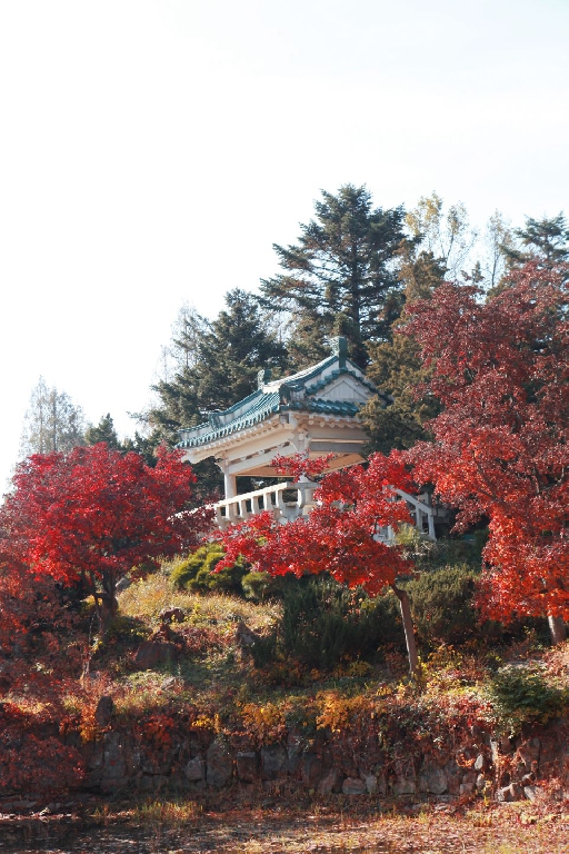 The autumnal scenery of Pyongyang  1