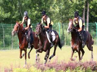 Club d’équitation de Mirim