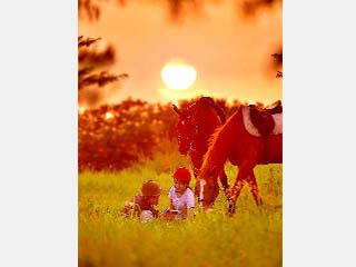 Au Club d’équitation de Mirim