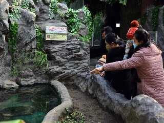 Jardin zoologique central