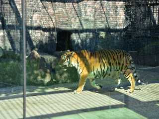 Jardin zoologique central