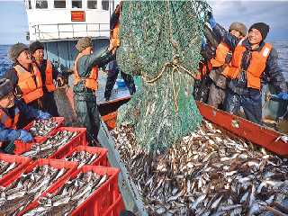 Sur la pêcherie de la mer de l’Est