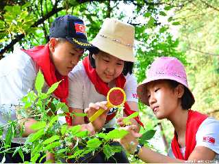 Colonie de vacances des alpinistes de l’Organisation des enfants de  Myohyangsan de la ville de Pyongyang