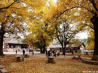 Le Musée du Coryo à Kaesong