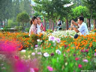 Au parc pour enfants de Sanghung