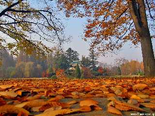 L’automne au jardin botanique central