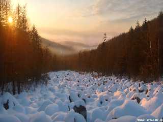 Le fleuve de pierre au mont Oknyon, site naturel protégé par la loi