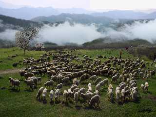 La plaine de Taehongdan