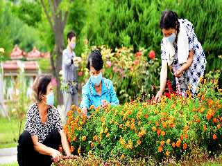 In Pyongyang Old People’s Home