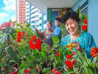 flower house