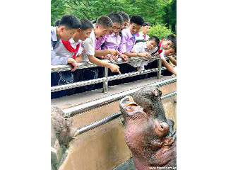 At the Central Zoo